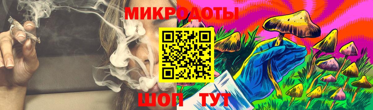 Псилоцибиновые грибы Psilocybine cubensis Менделеевск